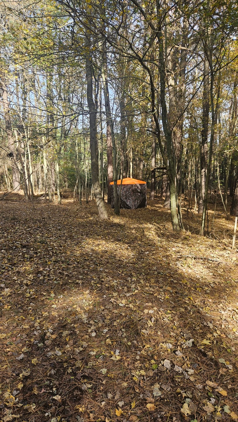 Customer photo review of VisMaster 270° See-through Hunting Blind with No-Trip Door