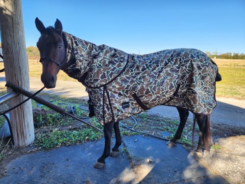Customer photo review of DUCK HUNT 1200D PERFECT FIT WINTER BLANKET WITH NECK