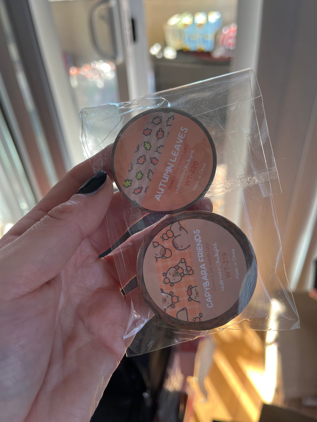 Customer photo review of Autumn Capybaras Washi Tapes (Set of 2)
