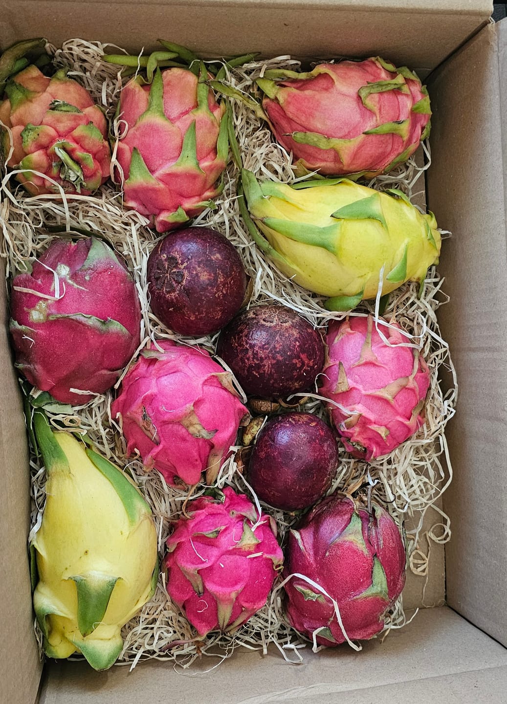 Customer photo review of Drachenfrucht Mix bunt Aktionswoche %