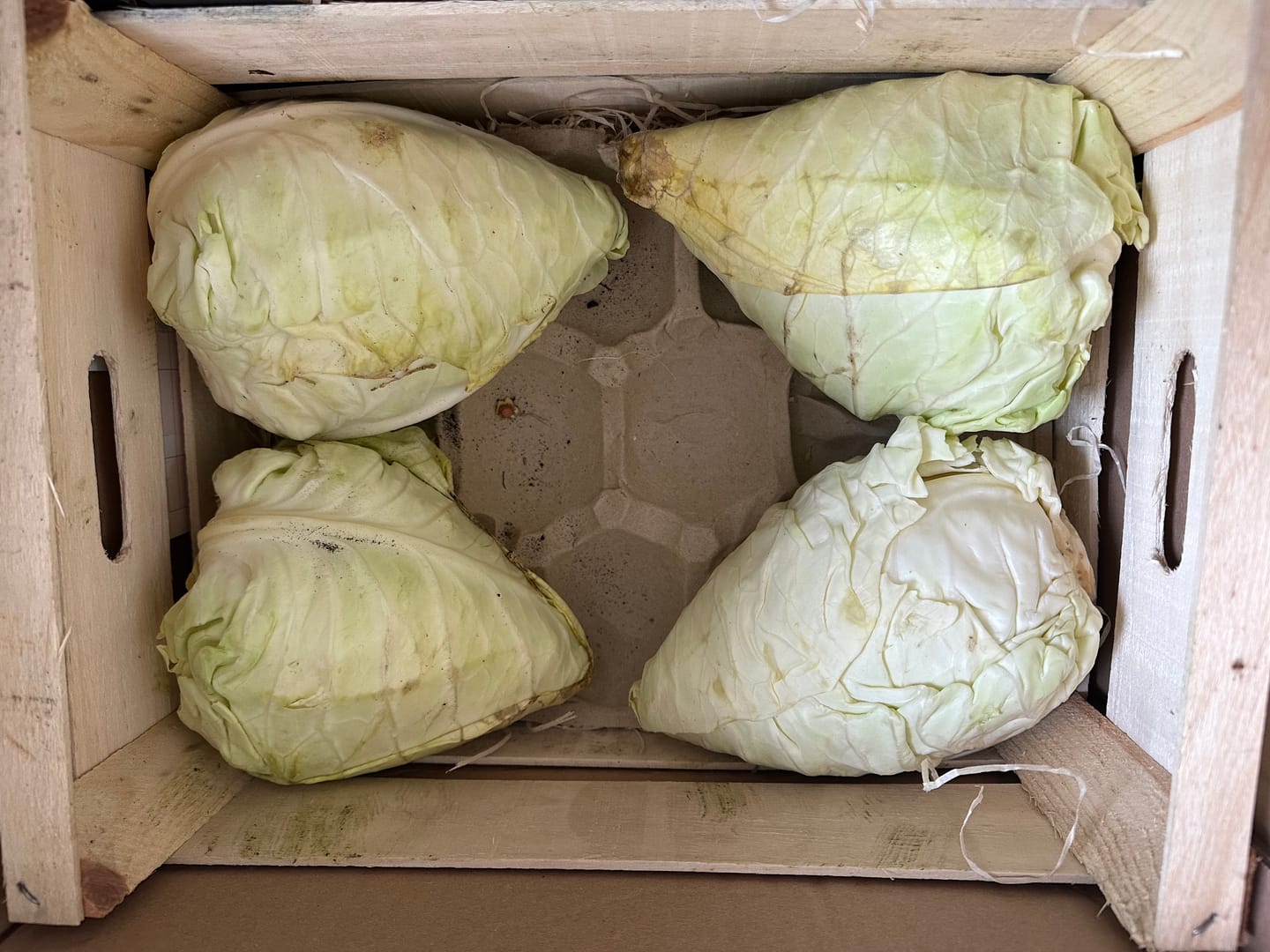 Customer photo review of Spitzkohl Biohof Finkes Bio regional