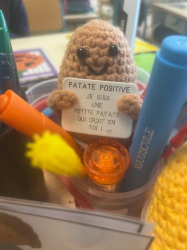 Customer photo review of PATATE POSITIVE