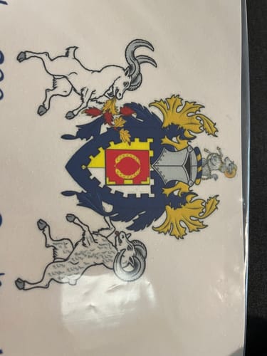 Customer photo review of A5 Rectangle Custom Edible Icing Image