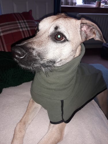 Customer photo review of Fleece Sighthound Base-Layer Coat with Underbelly and Snood