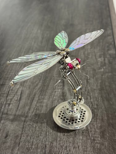 Customer photo review of Dragonfly