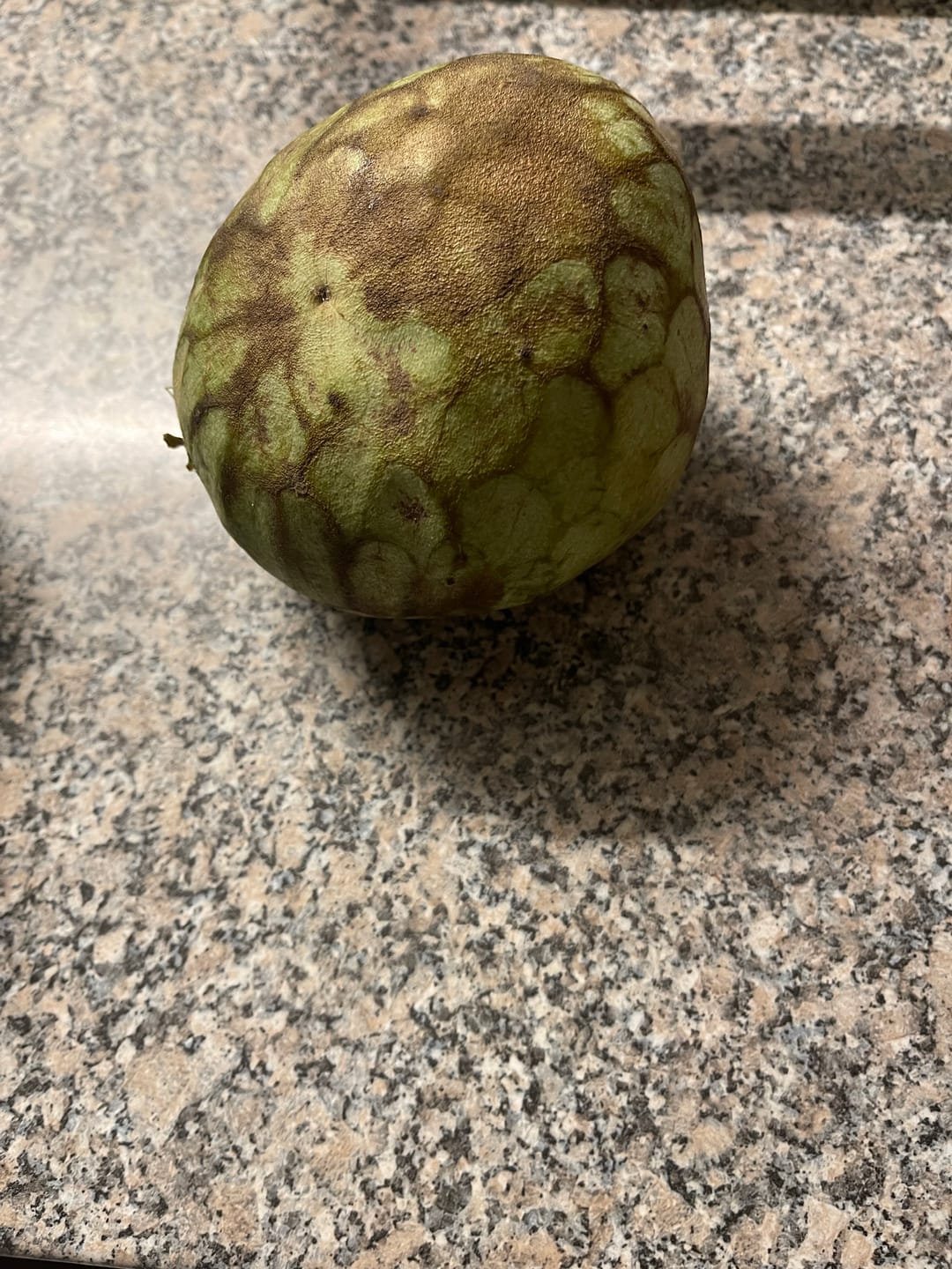 Customer photo review of Cherimoya Bio von Julian