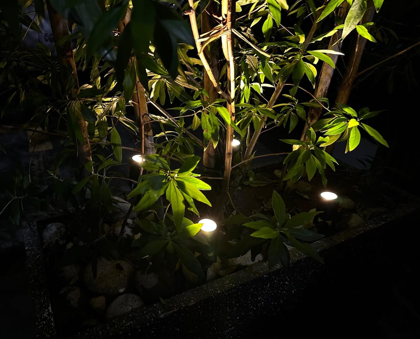 Customer photo review of SolaGarden™ Spot Light Pack