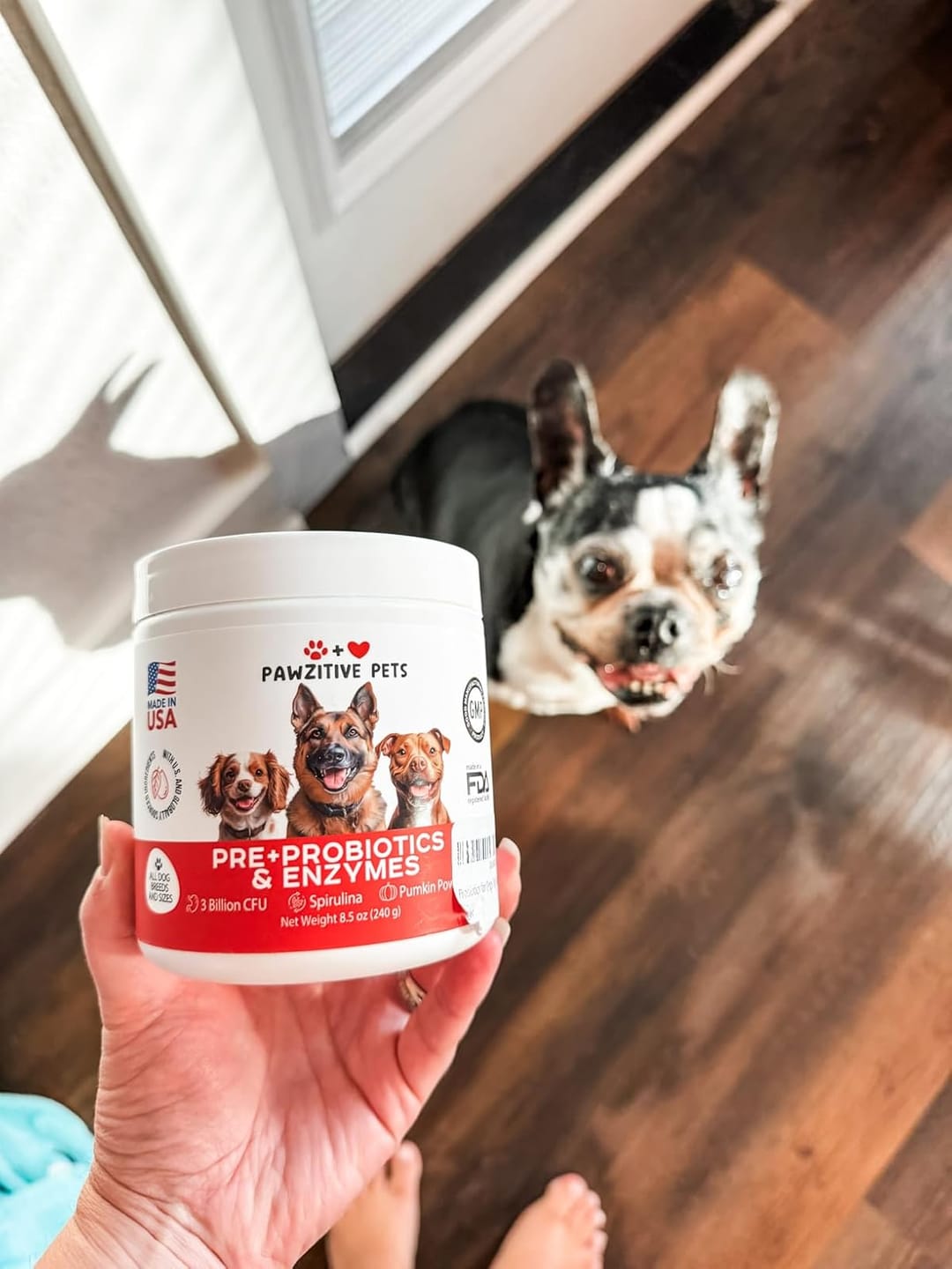 Customer photo review of Probiotics for Dogs Digestive Health