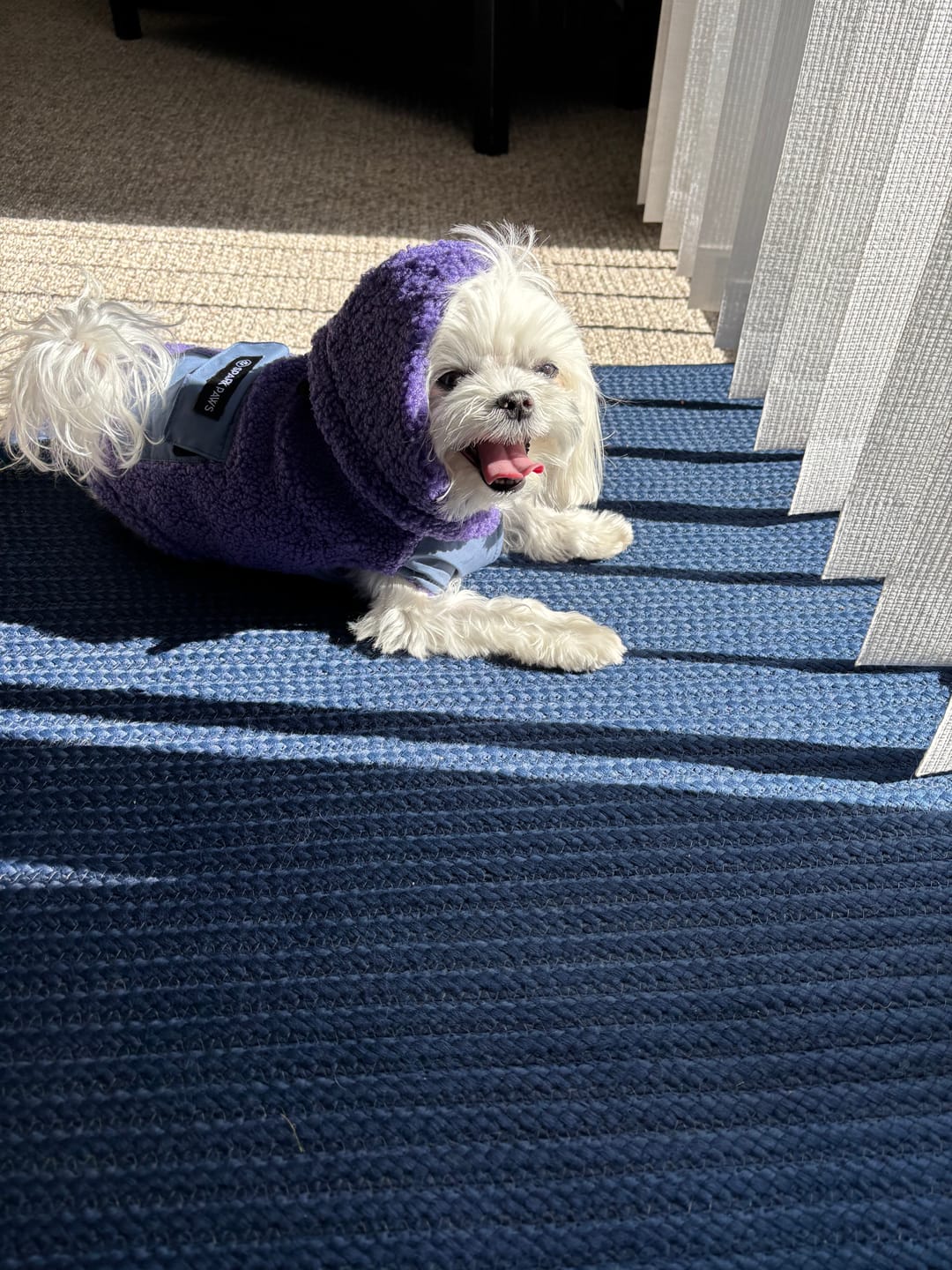 Customer photo review of Reversible Sherpa Jacket - Purple and Blue