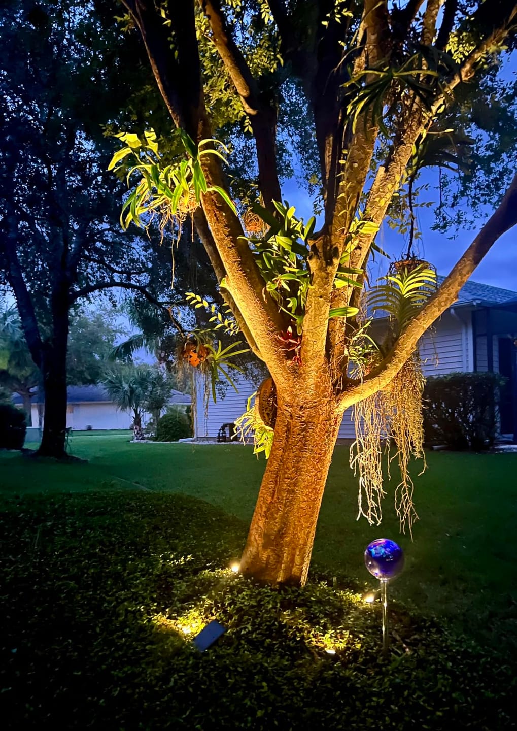 Customer photo review of SolaGarden™ Spot Light Pack