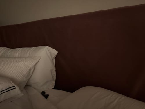 Customer photo review of AC Bellagio Stain Resistant Velvet Upholstery Fabric by The Yard
