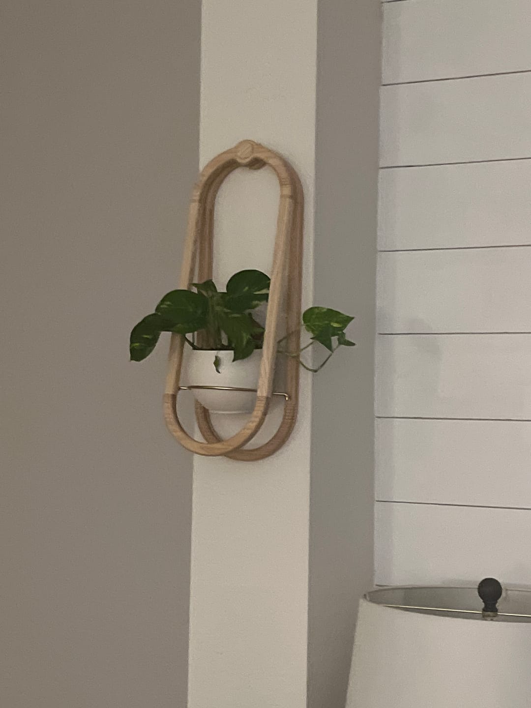 Customer photo review of Frame Wall Planter + Pot