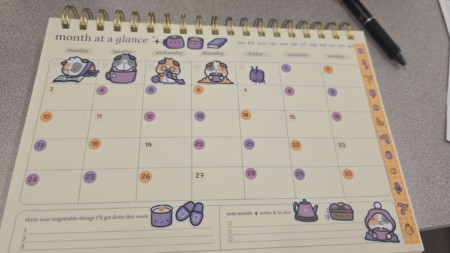 Customer photo review of Planner Subscription