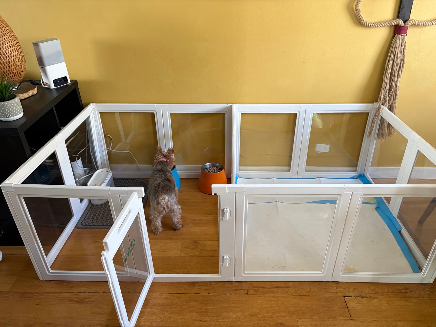 Customer photo review of AuraSpace Acrylic Indoor Dog Playpen for Puppies and Small Dogs