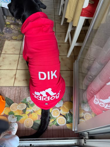 Customer photo review of Felpa "Adidog" Blu Personalizzabile con nome