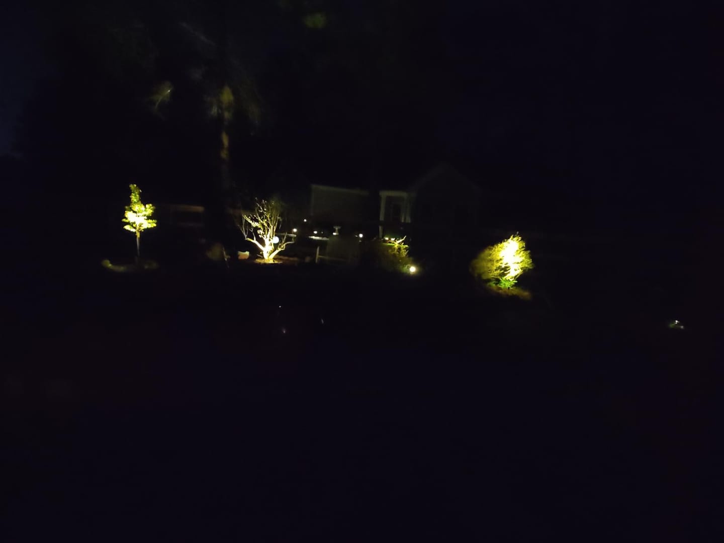 Customer photo review of SolaGarden™ Spot Light Pack