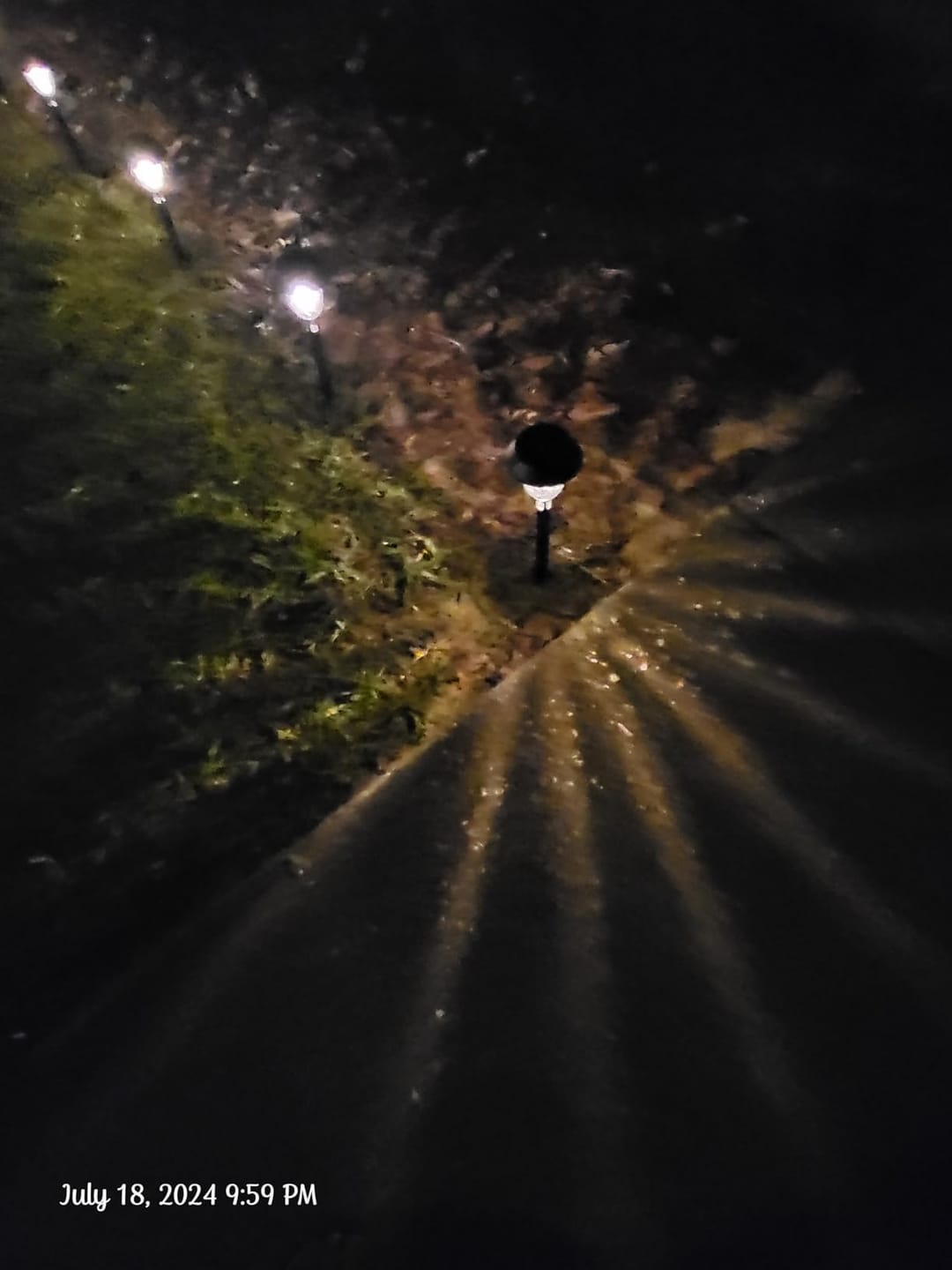 Customer photo review of SolaGarden™ Spot Light Pack
