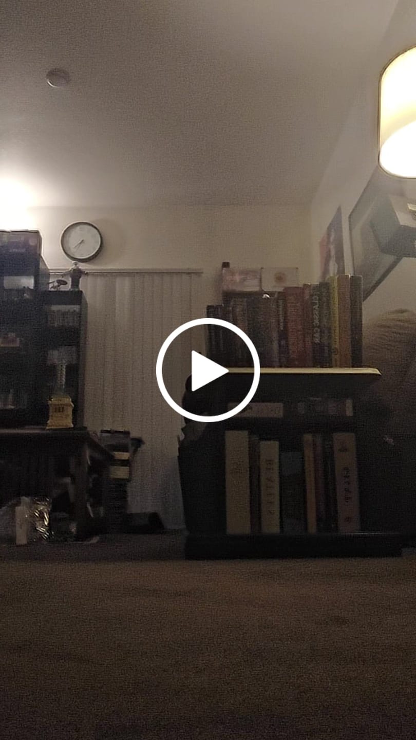 Customer video review of Men's Gulf Low-Top Canvas Sneakers in Gulf Blue