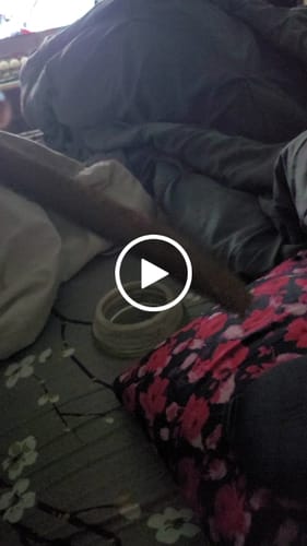 Customer video review of Greenhouse Smalls