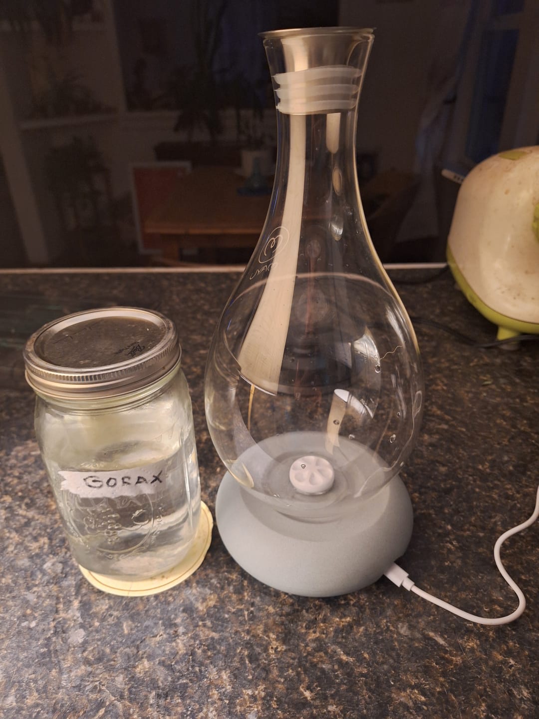 Customer photo review of Swirl Structured Water Carafe