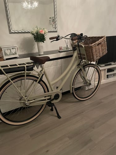 Customer photo review of E-Cargo N3