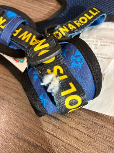 Customer photo review of Paw Patrol: Chase Dog Harness