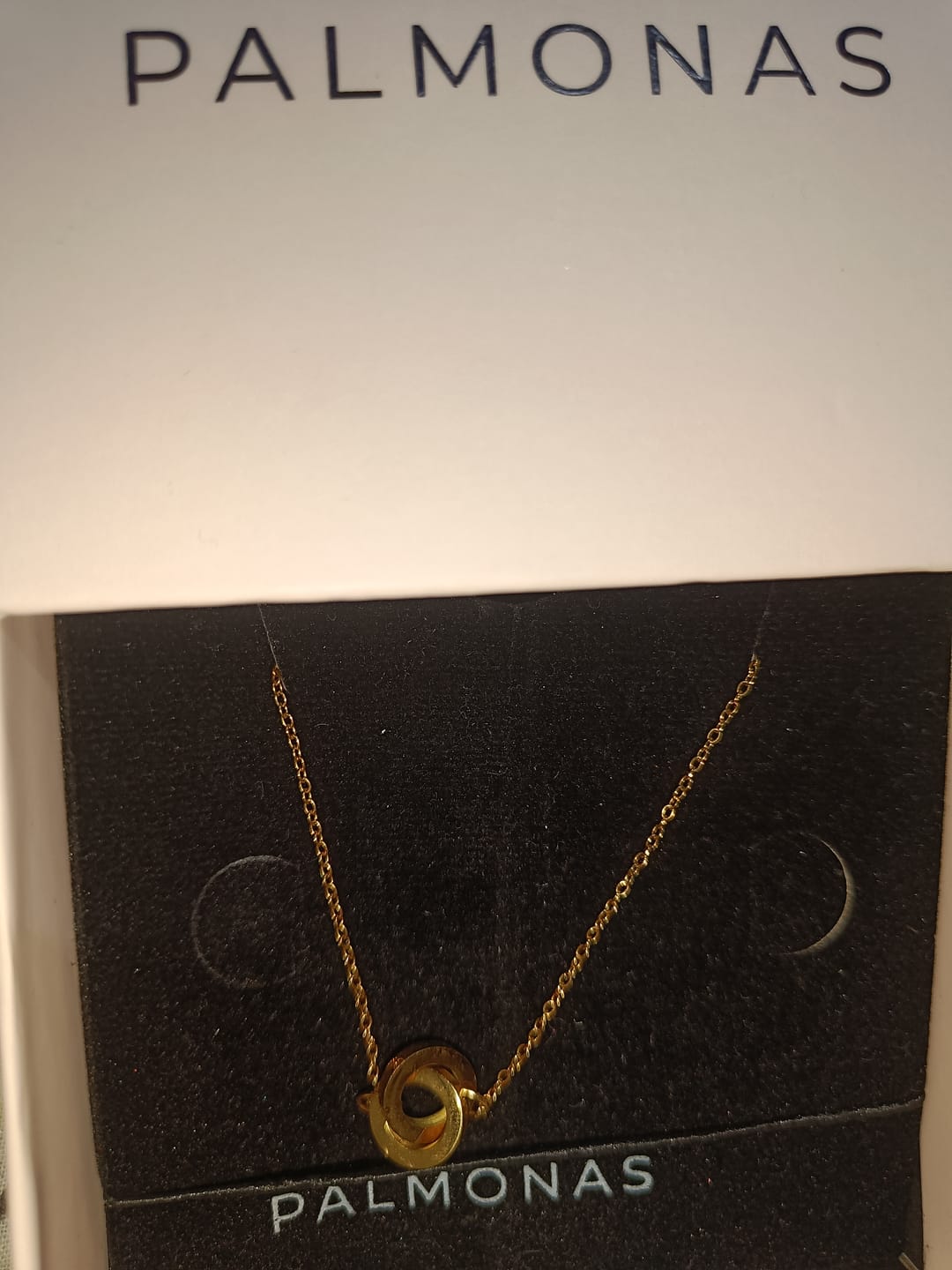 Customer photo review of Linked Circles Harmony Necklace