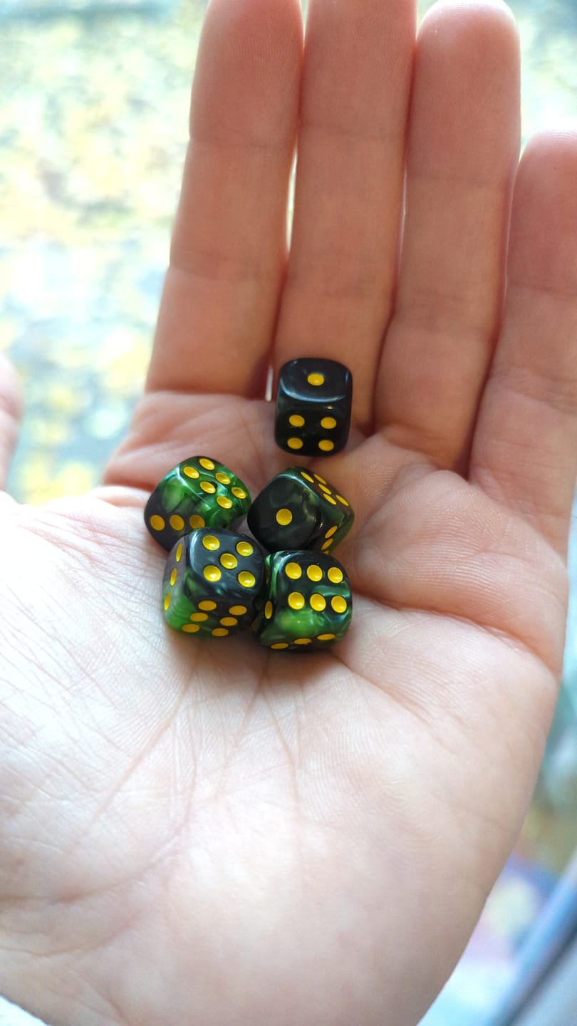 Customer photo review of Mini D6