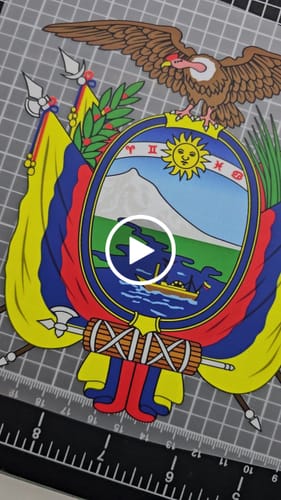 Customer video review of DTF Transfers Upload Your Gang Sheet