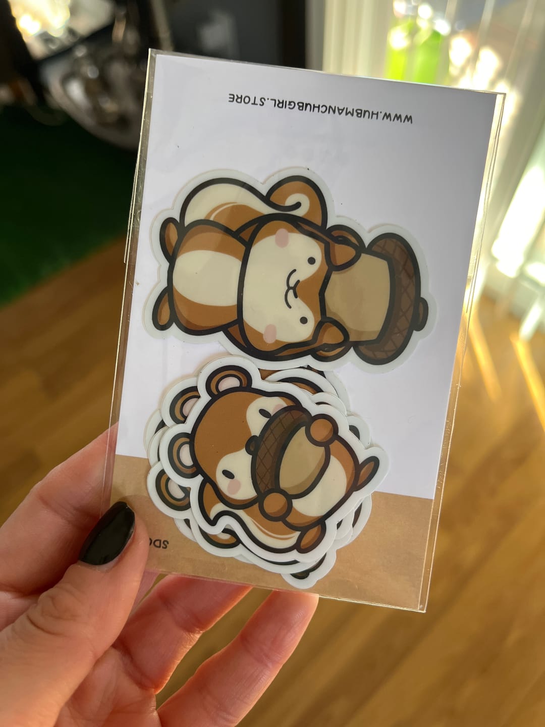Customer photo review of Squirrelly Die Cut Stickers (Set of 5)