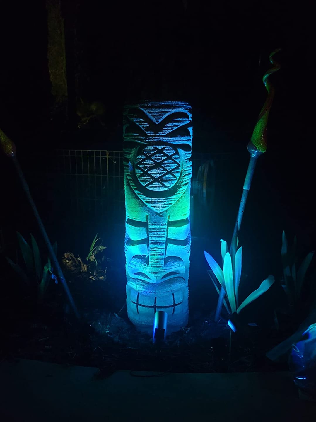 Customer photo review of SolaGarden™ Spot Light Pack