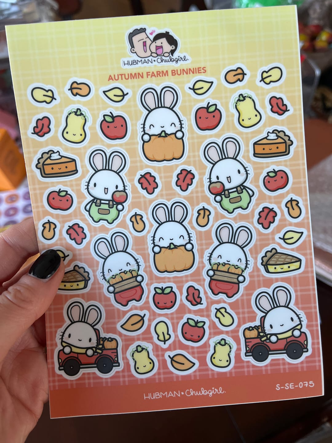 Customer photo review of Autumn Farm Bunnies Sticker Sheet