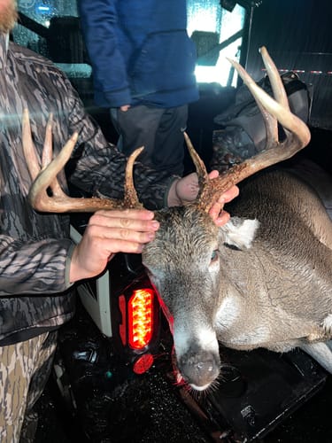 Customer photo review of Titanium Broadheads