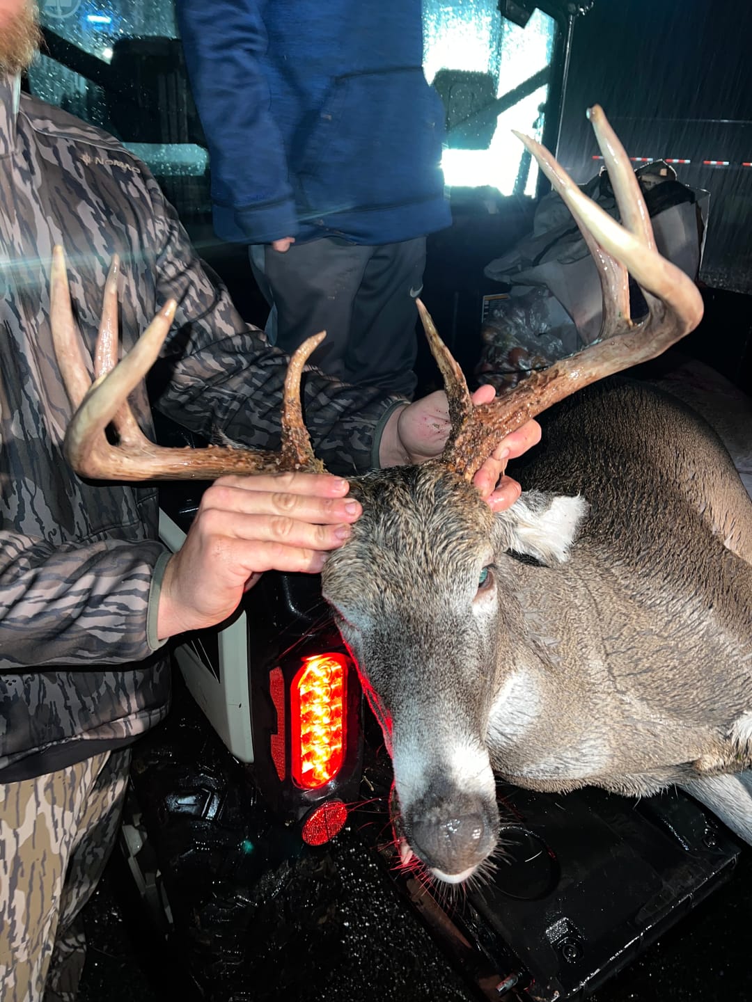 Customer photo review of Titanium Broadheads