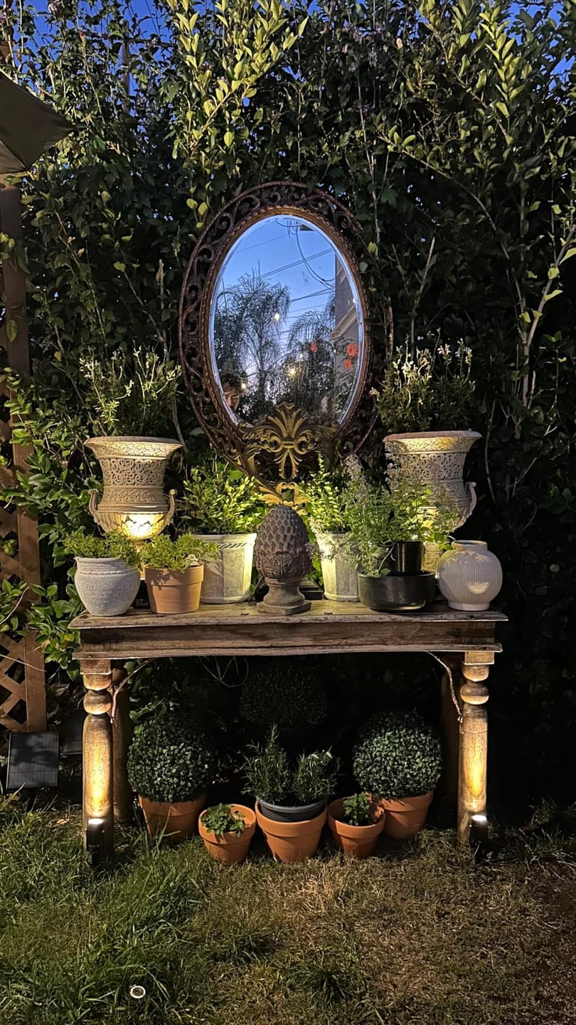Customer photo review of SolaGarden™ Spot Light Pack