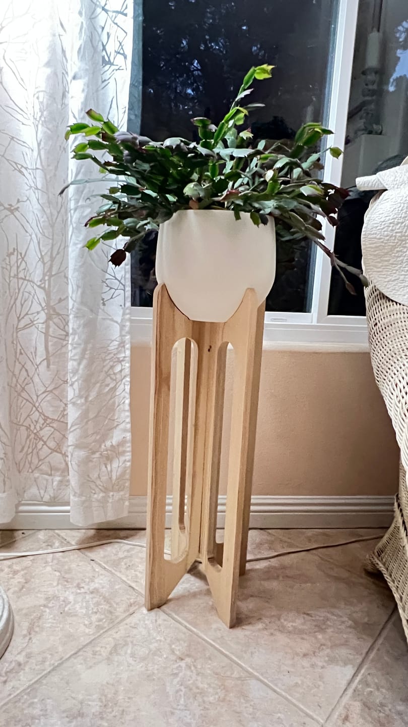 Customer photo review of Arches Plant Stand + Pot