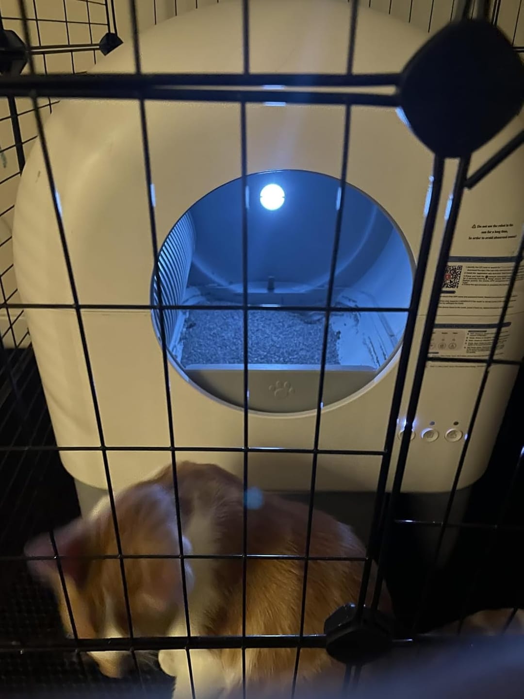 Customer photo review of Cumrige M4 Self-Cleaning Litter Box | Smart Odor-Control Automatic Cat Litter Box