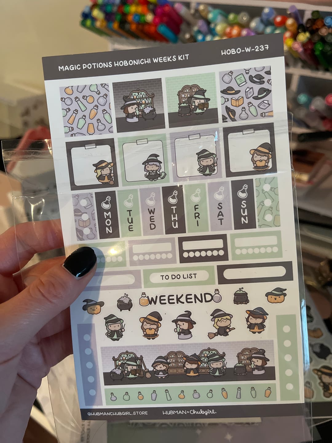 Customer photo review of Magic Potions Theme Hobonichi Weeks Kit