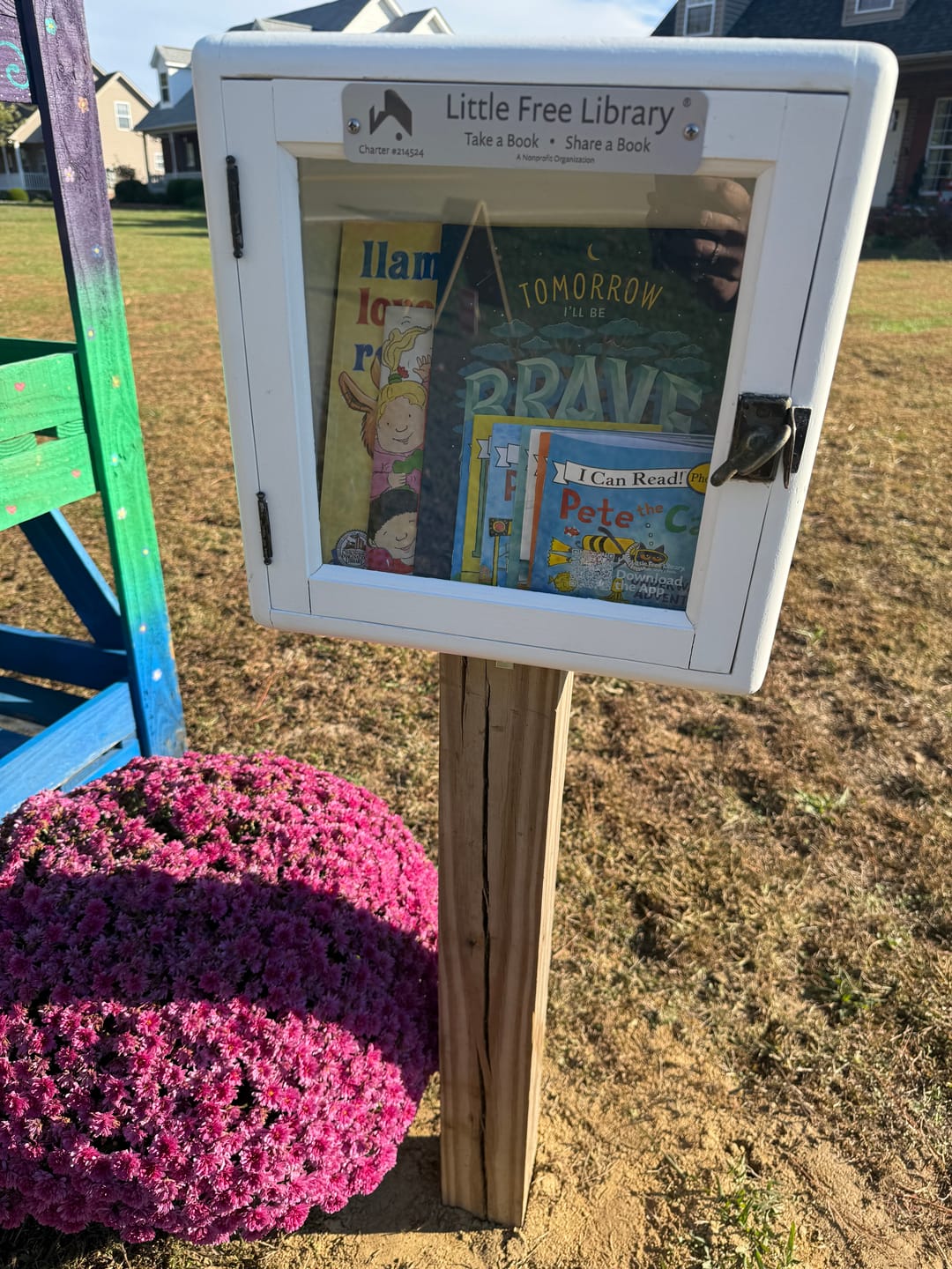Customer photo review of Book Bundle Ages 12 and Under (40 Books)