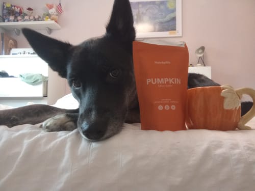 Customer photo review of Pumpkin Spice Latte