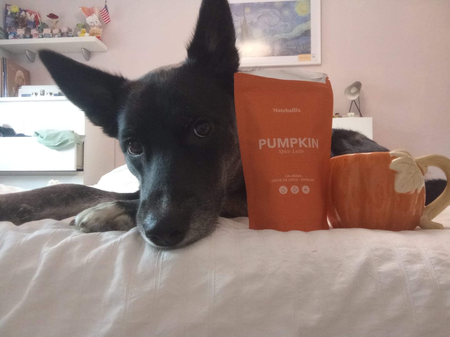 Customer photo review of Pumpkin Spice Latte