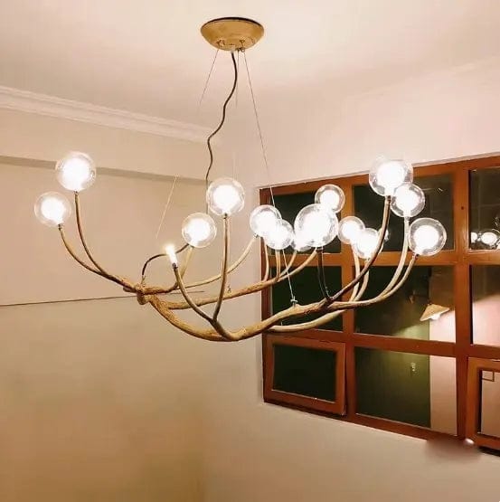 Customer photo review of Rustic Tree Branch Chandelier, Dimmable