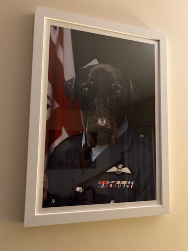 Customer photo review of The RAF Officer - Custom Pet Portrait
