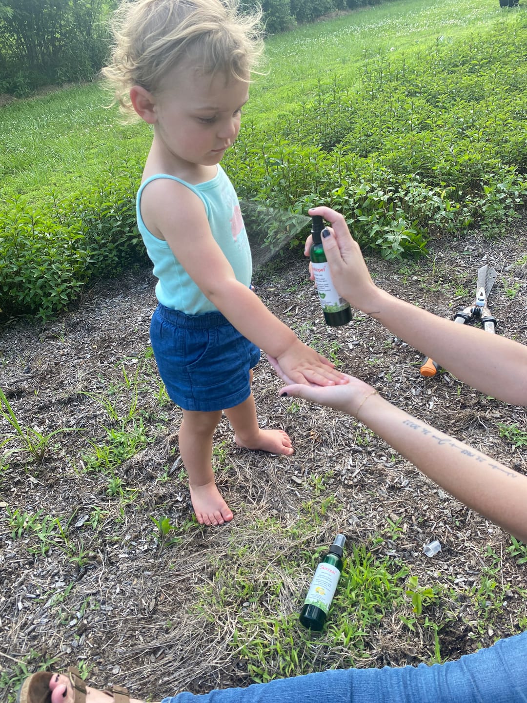 Customer photo review of Skitopel® Lemon Insect Repellent Spray - for the Ulitmate Powerful, Chemical-Free Protection