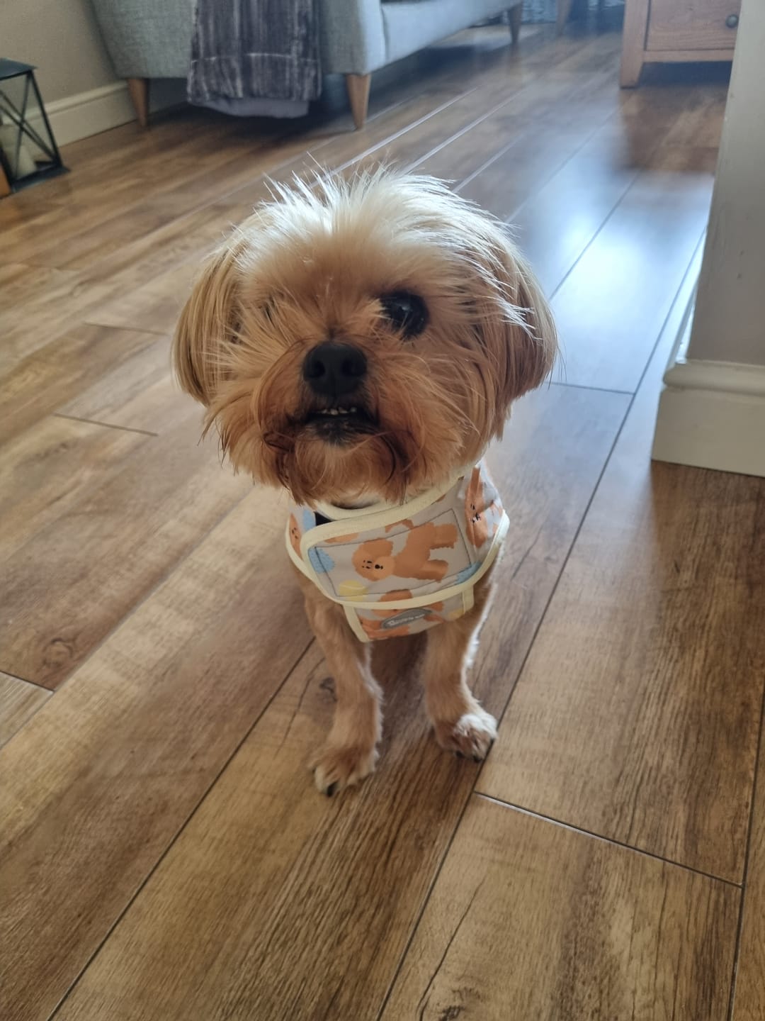 Customer photo review of Rain Jacket - Curly Club