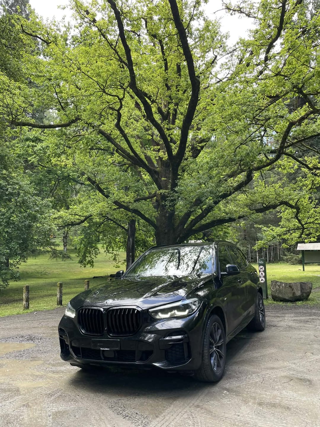 Customer photo review of ABS Glossy Black Front Kidney Grilles Fit For BMW【X5 G05 LCI】2023+