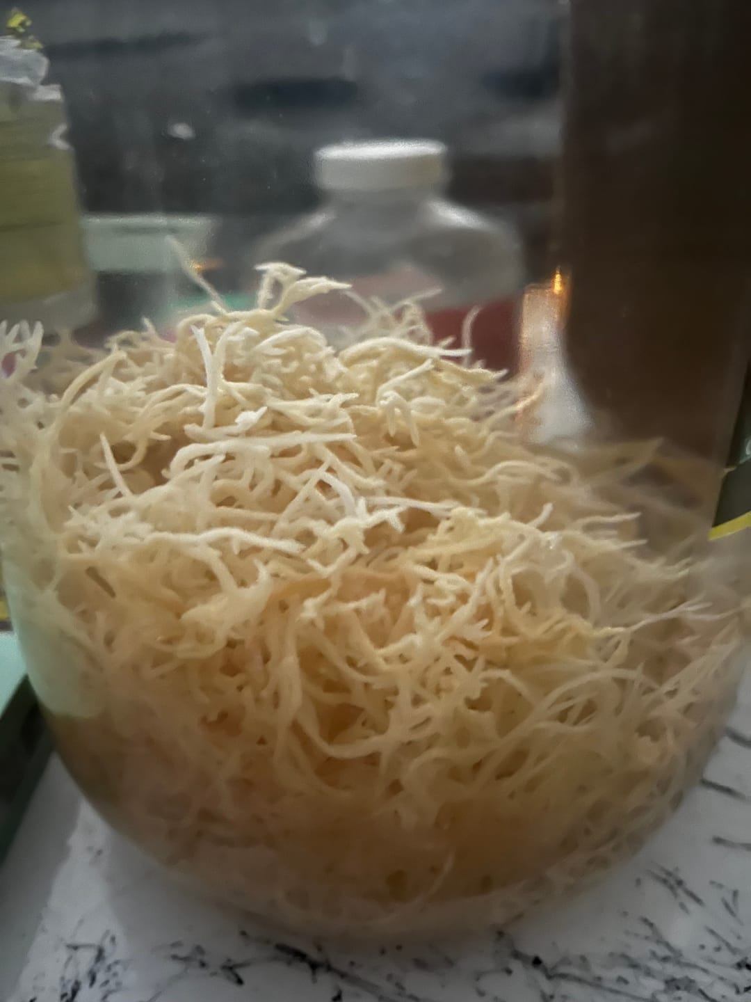 Customer photo review of St. Lucia Wildcrafted Gold Raw Sea Moss