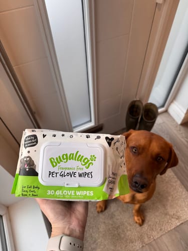 Customer photo review of Glove Pet Wipes for Full Body, Bum & Paws