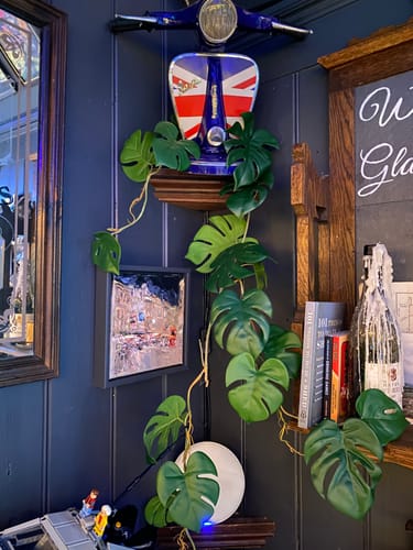 Customer photo review of Faux Hanging Monstera Leaf Vine