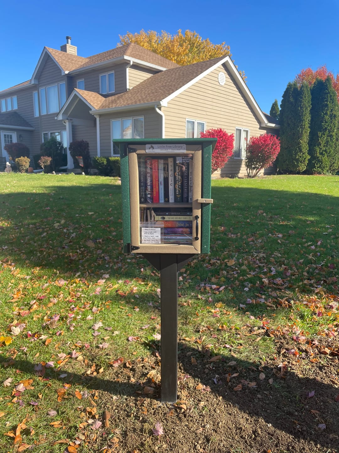 Customer photo review of Composite Two Story Forest Little Free Library